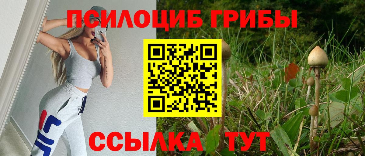 Псилоцибиновые грибы MAGIC MUSHROOMS Полысаево